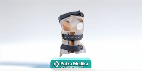 Boston Brace