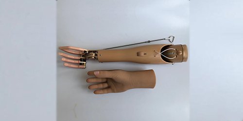 Jual Tangan Palsu